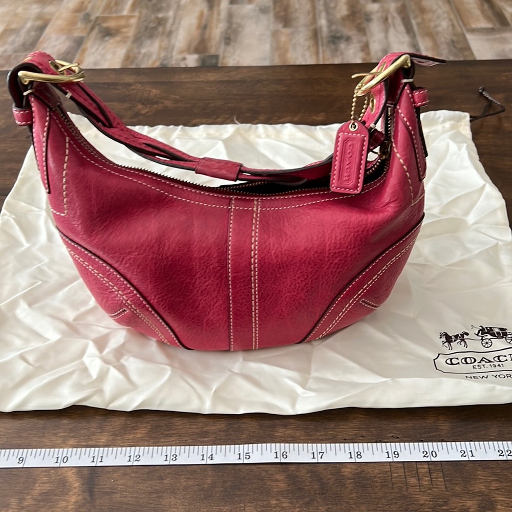 Coach Leather Hobo Handbag with Duster